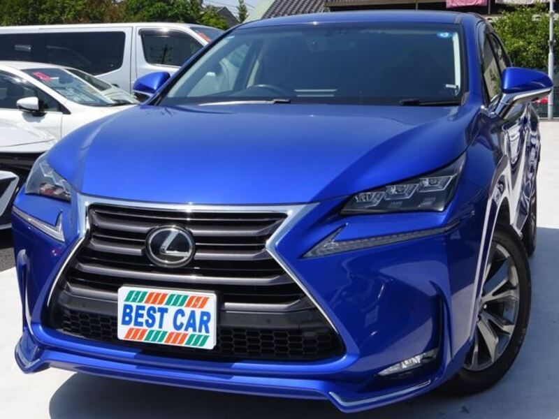 2014 LEXUS NX